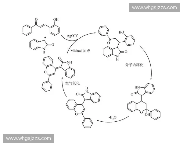 深度解析投球曲球轨迹变化机理与关键影响因素综合研究的全面探讨
